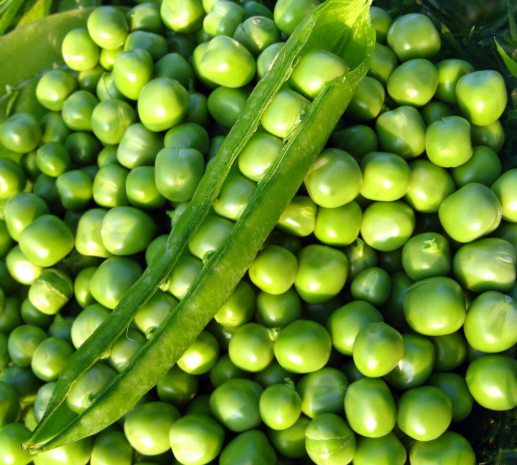 IQF Peas